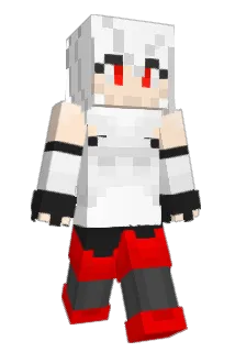 Bigtank498 Minecraft avatar full body