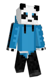 Bigxer341 Minecraft avatar full body