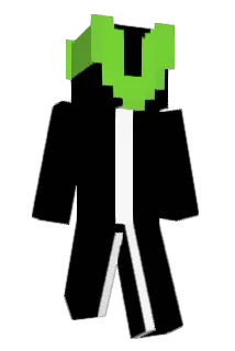 Bihnice Minecraft avatar full body