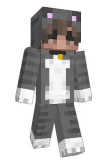 Bikkie3 Minecraft avatar full body