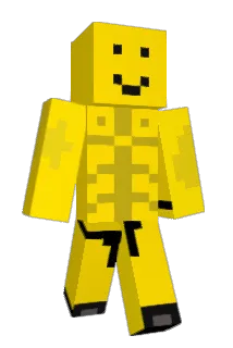 Bikounet Minecraft avatar full body