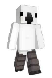 Bim_o Minecraft avatar full body
