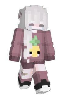 Bimbalkopf Minecraft avatar full body