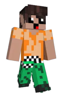 BimberekPl Minecraft avatar full body