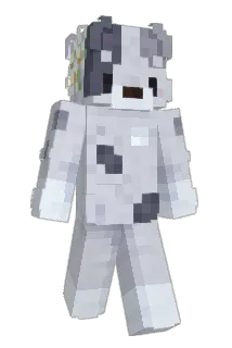 BinBan123 Minecraft avatar full body