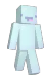 BinLaden349 Minecraft avatar full body