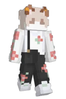 BinggMC Minecraft avatar full body