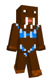 Bingleberry Minecraft avatar full body