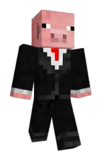 Bingoboy Minecraft avatar full body
