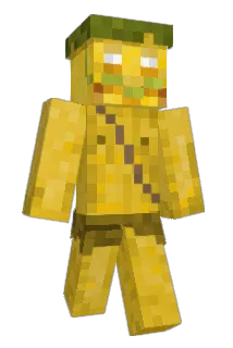 Bingus_priest Minecraft avatar full body