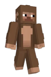 Bingz_ Minecraft avatar full body