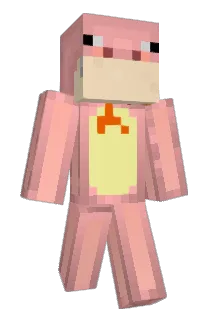 Bini2009 Minecraft avatar full body
