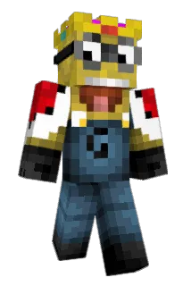 Binkbaars Minecraft avatar full body