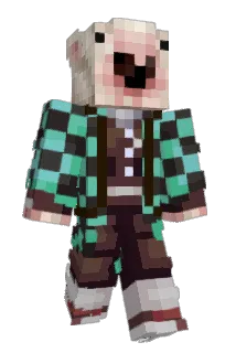 Binkity Minecraft avatar full body