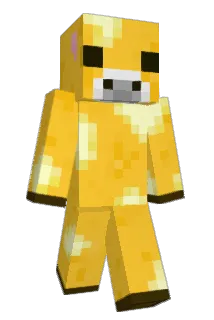Binks17 Minecraft avatar full body