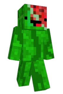 Binkus13 Minecraft avatar full body
