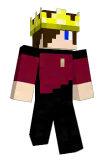 Binvoil Minecraft avatar full body
