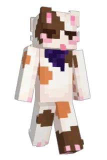 Binx_20 Minecraft avatar full body