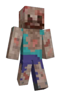 Bioem Minecraft avatar full body
