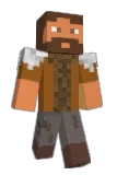 Birang Minecraft avatar full body