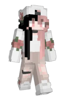BirbNerd420 Minecraft avatar full body