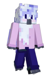 Birbbirbbirb2 Minecraft avatar full body
