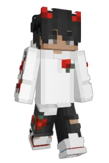 Birbyninja Minecraft avatar full body