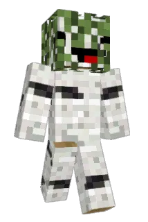 BirchHead Minecraft avatar full body