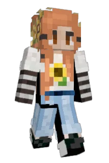BirdStar Minecraft avatar full body