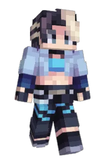 Birdface_ Minecraft avatar full body
