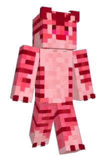 BirdiePeep Minecraft avatar full body