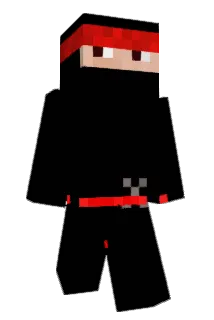 Birdman_25 Minecraft avatar full body