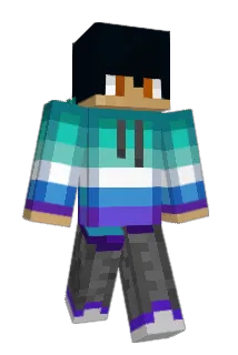 BirkeHD Minecraft avatar full body