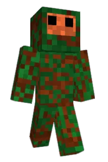 Birkenfunk Minecraft avatar full body