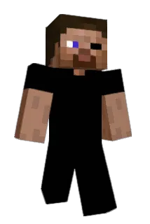 BirlenFrags Minecraft avatar full body