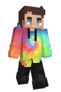 Birn Minecraft avatar full body