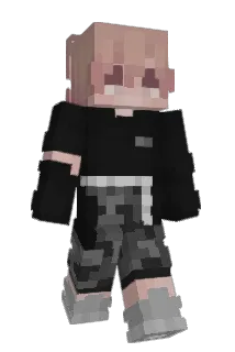 Birthday_ Minecraft avatar full body