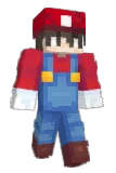 Birwi Minecraft avatar full body