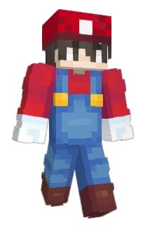Birwi Minecraft avatar full body