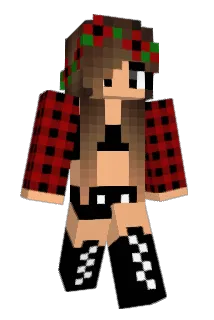 Bisi27 Minecraft avatar full body