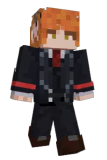 Bisl Minecraft avatar full body