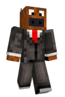 Bisonisnice Minecraft avatar full body