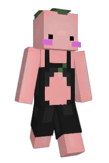 Bisousss Minecraft avatar full body