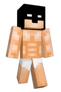 Bitang Minecraft avatar full body
