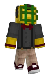 Bitconion Minecraft avatar full body