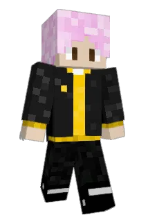 Bitsin Minecraft avatar full body