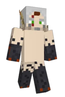 BizarreCoyote Minecraft avatar full body