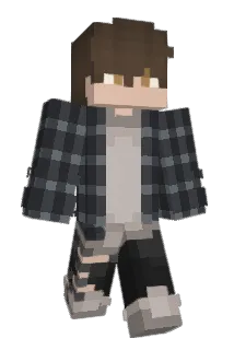 Bizjc Minecraft avatar full body