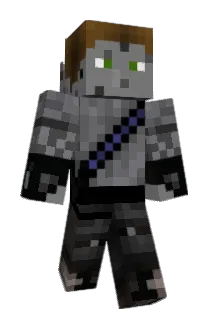 Bizzfx Minecraft avatar full body