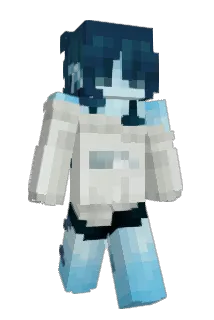 Bjork19219 Minecraft avatar full body